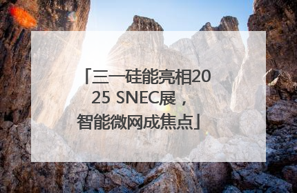 三一硅能亮相2025 SNEC展，智能微网成焦点