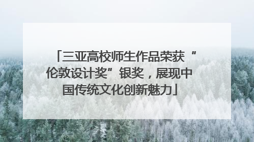 三亚高校师生作品荣获“伦敦设计奖”银奖，展现中国传统文化创新魅力