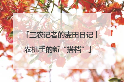 三农记者的麦田日记丨农机手的新“搭档”