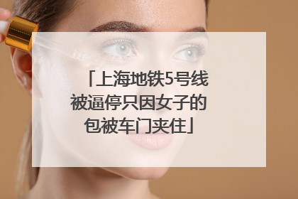上海地铁5号线被逼停只因女子的包被车门夹住