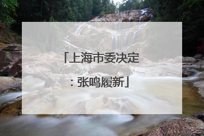 上海市委决定：张鸣履新