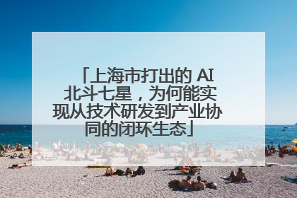 上海市打出的 AI 北斗七星，为何能实现从技术研发到产业协同的闭环生态