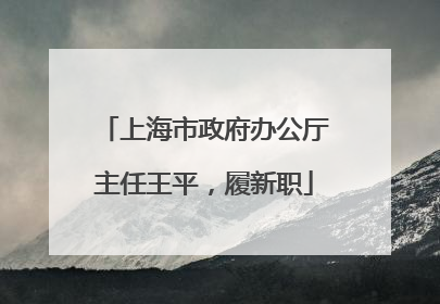 上海市政府办公厅主任王平，履新职