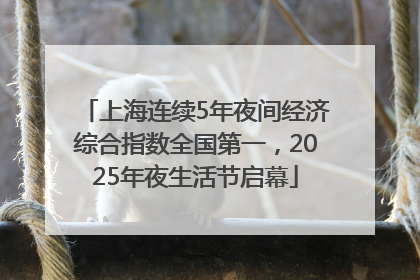上海连续5年夜间经济综合指数全国第一，2025年夜生活节启幕