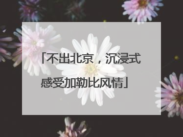 不出北京，沉浸式感受加勒比风情