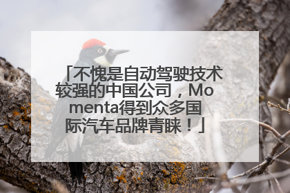 不愧是自动驾驶技术较强的中国公司，Momenta得到众多国际汽车品牌青睐！