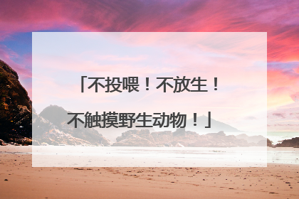 不投喂！不放生！不触摸野生动物！