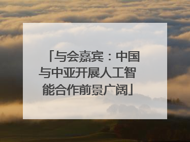 与会嘉宾：中国与中亚开展人工智能合作前景广阔