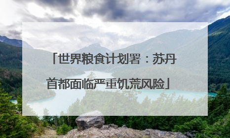 世界粮食计划署：苏丹首都面临严重饥荒风险