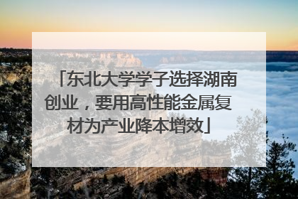 东北大学学子选择湖南创业，要用高性能金属复材为产业降本增效