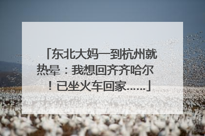 东北大妈一到杭州就热晕：我想回齐齐哈尔！已坐火车回家……