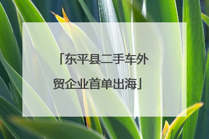 东平县二手车外贸企业首单出海
