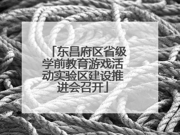 东昌府区省级学前教育游戏活动实验区建设推进会召开