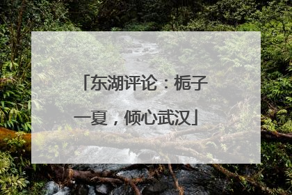 东湖评论：栀子一夏，倾心武汉