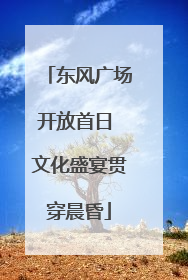 东风广场开放首日 文化盛宴贯穿晨昏