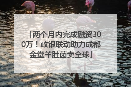 两个月内完成融资300万！政银联动助力成都金堂羊肚菌卖全球