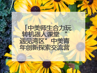中美师生合力玩转机器人课堂 “遇见湾区”中美青年创新探索交流营在深圳开营