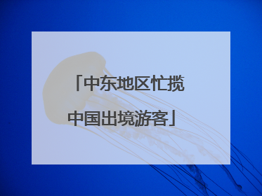 中东地区忙揽中国出境游客
