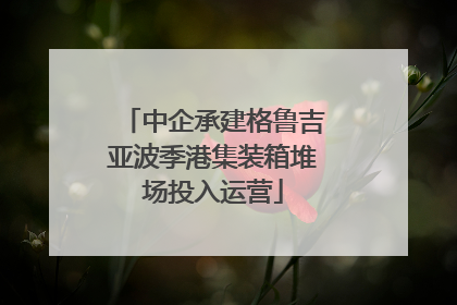 中企承建格鲁吉亚波季港集装箱堆场投入运营