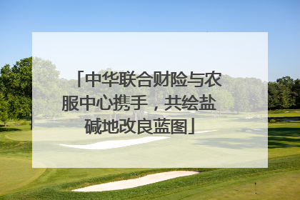 中华联合财险与农服中心携手，共绘盐碱地改良蓝图