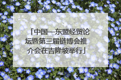 中国—东盟经贸论坛暨第三届链博会推介会在吉隆坡举行