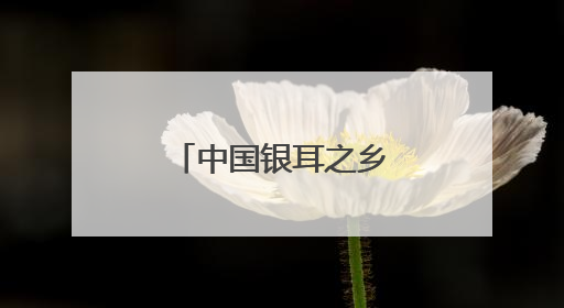 中国银耳之乡：一朵银耳“开”出无限可能