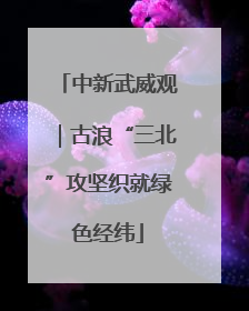 中新武威观｜古浪“三北”攻坚织就绿色经纬