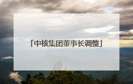 中核集团董事长调整