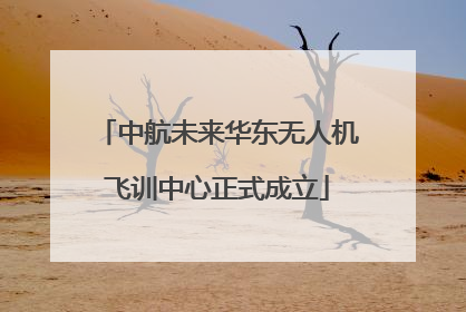 中航未来华东无人机飞训中心正式成立