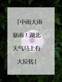 中雨大雨暴雨！湖北天气马上有大反转