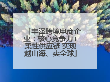 丰泽跨境电商企业：核心竞争力+柔性供应链 实现越山海、卖全球