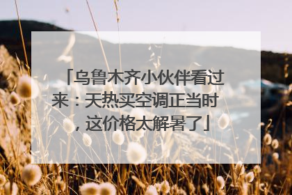 乌鲁木齐小伙伴看过来：天热买空调正当时，这价格太解暑了