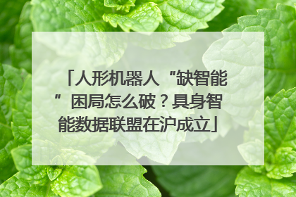 人形机器人“缺智能”困局怎么破？具身智能数据联盟在沪成立