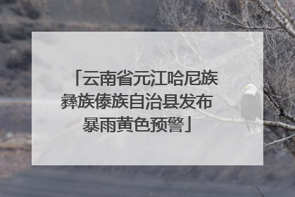 云南省元江哈尼族彝族傣族自治县发布暴雨黄色预警