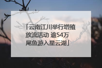 云南江川举行增殖放流活动 逾54万尾鱼游入星云湖