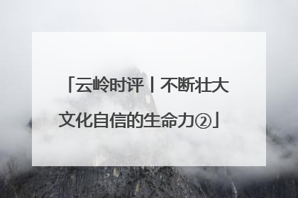 云岭时评丨不断壮大文化自信的生命力②