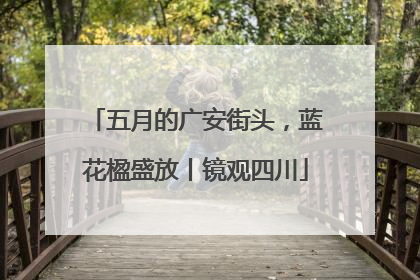 五月的广安街头，蓝花楹盛放丨镜观四川