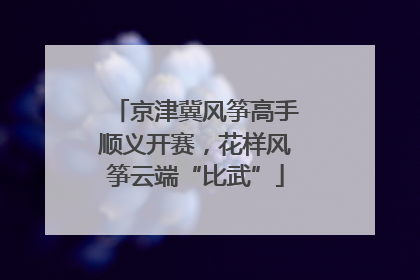 京津冀风筝高手顺义开赛，花样风筝云端“比武”