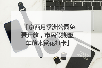 京西月季洲公园免费开放，市民假期驱车前来赏花打卡