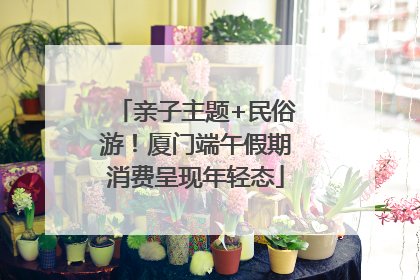亲子主题+民俗游！厦门端午假期消费呈现年轻态