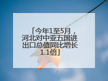 今年1至5月，河北对中亚五国进出口总值同比增长1.1倍