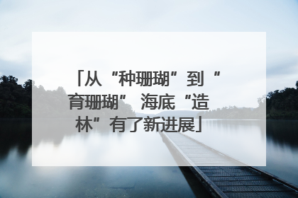 从“种珊瑚”到“育珊瑚” 海底“造林”有了新进展