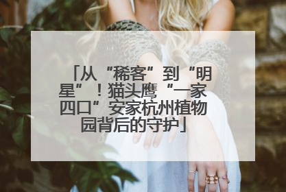 从“稀客”到“明星”！猫头鹰“一家四口”安家杭州植物园背后的守护