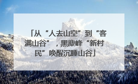 从“人去山空”到“客满山谷”，黑麋峰“新村民”唤醒沉睡山谷