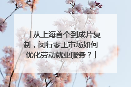 从上海首个到成片复制，闵行零工市场如何优化劳动就业服务？