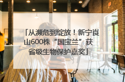从濒危到绽放！新宁崀山600株“国宝兰”获省级生物保护嘉奖