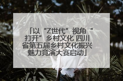 以“Z世代”视角“打开”乡村文化 四川省第五届乡村文化振兴魅力竞演大赛启动