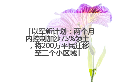 以军新计划：两个月内控制加沙75%领土，将200万平民迁移至三个小区域