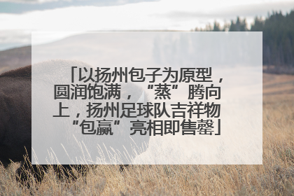 以扬州包子为原型，圆润饱满，“蒸”腾向上，扬州足球队吉祥物“包赢”亮相即售罄
