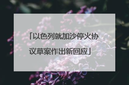 以色列就加沙停火协议草案作出新回应